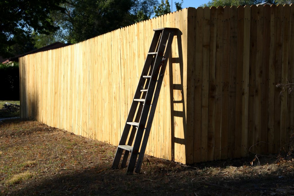 http://www.photos-public-domain.com/2010/12/02/wooden-ladder-leaning-on-fence/